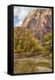USA, Utah, Zion National Park, Virgin River in Zion Canyon-Jamie & Judy Wild-Framed Stretched Canvas