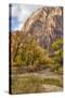 USA, Utah, Zion National Park, Virgin River in Zion Canyon-Jamie & Judy Wild-Stretched Canvas