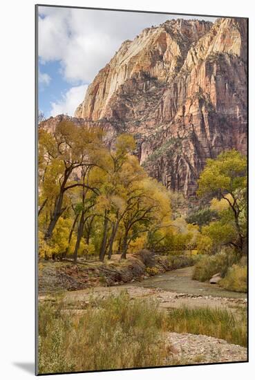 USA, Utah, Zion National Park, Virgin River in Zion Canyon-Jamie & Judy Wild-Mounted Photographic Print