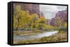 USA, Utah, Zion National Park, Virgin River in Zion Canyon-Jamie & Judy Wild-Framed Stretched Canvas