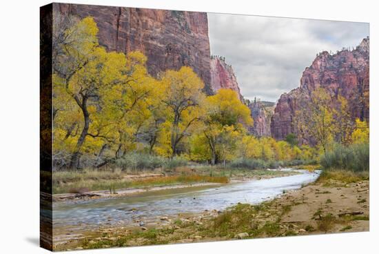 USA, Utah, Zion National Park, Virgin River in Zion Canyon-Jamie & Judy Wild-Stretched Canvas