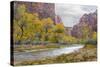 USA, Utah, Zion National Park, Virgin River in Zion Canyon-Jamie & Judy Wild-Stretched Canvas