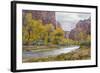 USA, Utah, Zion National Park, Virgin River in Zion Canyon-Jamie & Judy Wild-Framed Photographic Print