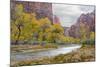 USA, Utah, Zion National Park, Virgin River in Zion Canyon-Jamie & Judy Wild-Mounted Photographic Print