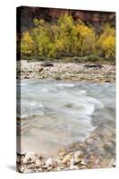 USA, Utah, Zion National Park, Virgin River in Zion Canyon-Jamie & Judy Wild-Stretched Canvas