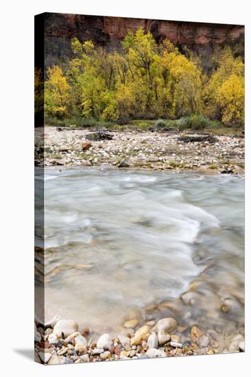 USA, Utah, Zion National Park, Virgin River in Zion Canyon-Jamie & Judy Wild-Stretched Canvas