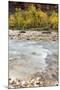 USA, Utah, Zion National Park, Virgin River in Zion Canyon-Jamie & Judy Wild-Mounted Photographic Print