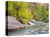 USA, Utah. Zion National Park, Virgin River-Jamie & Judy Wild-Stretched Canvas