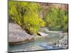 USA, Utah. Zion National Park, Virgin River-Jamie & Judy Wild-Mounted Photographic Print