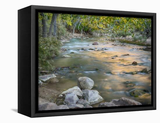 USA, Utah. Zion National Park, Virgin River-Jamie & Judy Wild-Framed Stretched Canvas