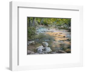 USA, Utah. Zion National Park, Virgin River-Jamie & Judy Wild-Framed Photographic Print