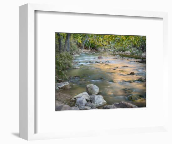 USA, Utah. Zion National Park, Virgin River-Jamie & Judy Wild-Framed Photographic Print