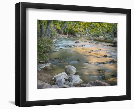 USA, Utah. Zion National Park, Virgin River-Jamie & Judy Wild-Framed Photographic Print