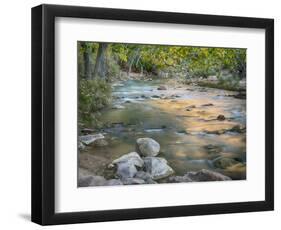 USA, Utah. Zion National Park, Virgin River-Jamie & Judy Wild-Framed Photographic Print