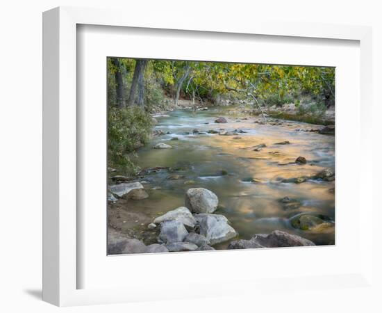 USA, Utah. Zion National Park, Virgin River-Jamie & Judy Wild-Framed Photographic Print