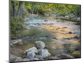 USA, Utah. Zion National Park, Virgin River-Jamie & Judy Wild-Mounted Photographic Print