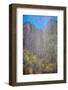 USA, Utah, Zion National Park. Waterfall Scenic-Jay O'brien-Framed Photographic Print