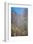 USA, Utah, Zion National Park. Waterfall Scenic-Jay O'brien-Framed Photographic Print