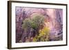 USA, Utah, Zion National Park, Zion Canyon and Cottonwood Trees-Jamie & Judy Wild-Framed Photographic Print