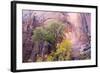 USA, Utah, Zion National Park, Zion Canyon and Cottonwood Trees-Jamie & Judy Wild-Framed Photographic Print