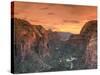 USA, Utah, Zion National Park, Zion Canyon from Angel's Landing-Michele Falzone-Stretched Canvas