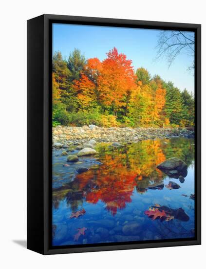 USA, Vermont, Autumn Colors Reflecting in a Stream in Vermont-Jaynes Gallery-Framed Stretched Canvas