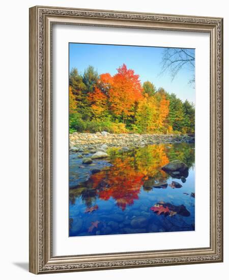 USA, Vermont, Autumn Colors Reflecting in a Stream in Vermont-Jaynes Gallery-Framed Photographic Print