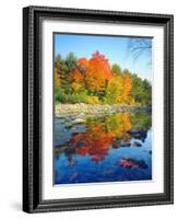 USA, Vermont, Autumn Colors Reflecting in a Stream in Vermont-Jaynes Gallery-Framed Photographic Print