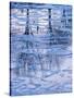 Usa, Vermont, Burlington. Ice and tree reflections in frozen Lake Champlain.-Merrill Images-Stretched Canvas