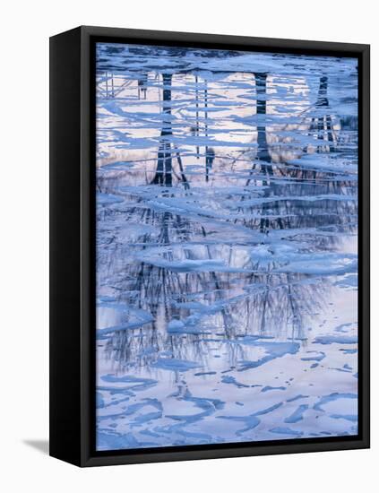 Usa, Vermont, Burlington. Ice and tree reflections in frozen Lake Champlain.-Merrill Images-Framed Stretched Canvas