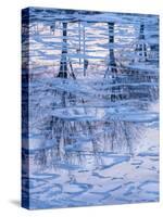 Usa, Vermont, Burlington. Ice and tree reflections in frozen Lake Champlain.-Merrill Images-Stretched Canvas