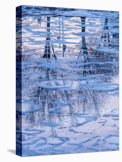 Usa, Vermont, Burlington. Ice and tree reflections in frozen Lake Champlain.-Merrill Images-Stretched Canvas