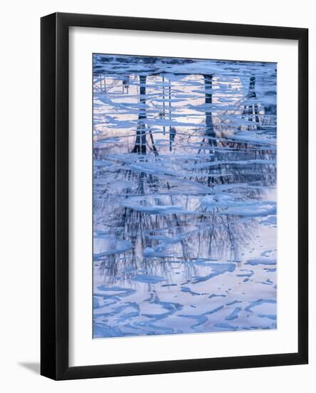 Usa, Vermont, Burlington. Ice and tree reflections in frozen Lake Champlain.-Merrill Images-Framed Photographic Print