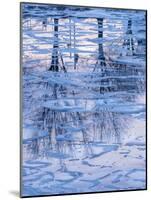 Usa, Vermont, Burlington. Ice and tree reflections in frozen Lake Champlain.-Merrill Images-Mounted Photographic Print