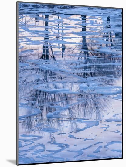 Usa, Vermont, Burlington. Ice and tree reflections in frozen Lake Champlain.-Merrill Images-Mounted Photographic Print