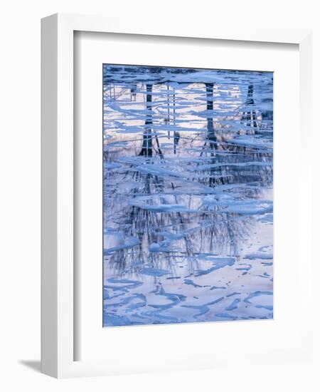 Usa, Vermont, Burlington. Ice and tree reflections in frozen Lake Champlain.-Merrill Images-Framed Photographic Print