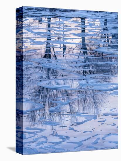Usa, Vermont, Burlington. Ice and tree reflections in frozen Lake Champlain.-Merrill Images-Stretched Canvas
