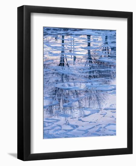 Usa, Vermont, Burlington. Ice and tree reflections in frozen Lake Champlain.-Merrill Images-Framed Premium Photographic Print