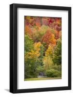 USA, Vermont, Fall foliage in Green Mountains at Bread Loaf, owned by Middlebury College.-Alison Jones-Framed Photographic Print