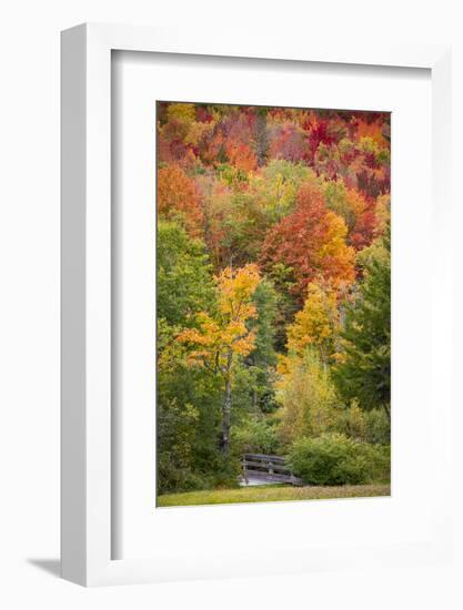 USA, Vermont, Fall foliage in Green Mountains at Bread Loaf, owned by Middlebury College.-Alison Jones-Framed Photographic Print