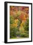 USA, Vermont, Fall foliage in Green Mountains at Bread Loaf, owned by Middlebury College.-Alison Jones-Framed Photographic Print