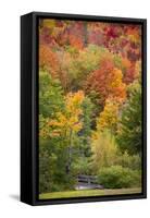 USA, Vermont, Fall foliage in Green Mountains at Bread Loaf, owned by Middlebury College.-Alison Jones-Framed Stretched Canvas