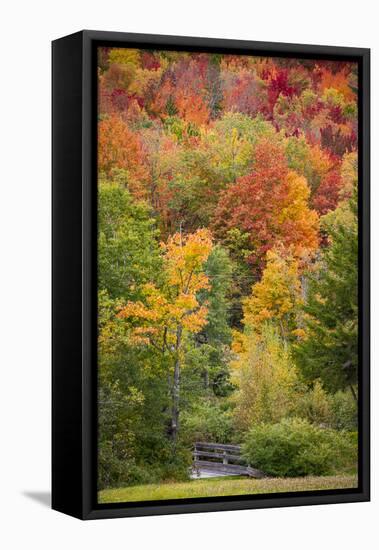 USA, Vermont, Fall foliage in Green Mountains at Bread Loaf, owned by Middlebury College.-Alison Jones-Framed Stretched Canvas