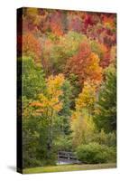 USA, Vermont, Fall foliage in Green Mountains at Bread Loaf, owned by Middlebury College.-Alison Jones-Stretched Canvas