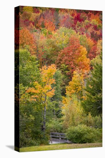 USA, Vermont, Fall foliage in Green Mountains at Bread Loaf, owned by Middlebury College.-Alison Jones-Stretched Canvas