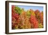 USA, Vermont, Fall foliage in Green Mountains at Bread Loaf, owned by Middlebury College.-Alison Jones-Framed Photographic Print