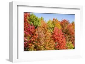 USA, Vermont, Fall foliage in Green Mountains at Bread Loaf, owned by Middlebury College.-Alison Jones-Framed Photographic Print