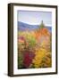 USA, Vermont, Fall foliage in Green Mountains at Bread Loaf, owned by Middlebury College.-Alison Jones-Framed Photographic Print