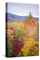 USA, Vermont, Fall foliage in Green Mountains at Bread Loaf, owned by Middlebury College.-Alison Jones-Stretched Canvas