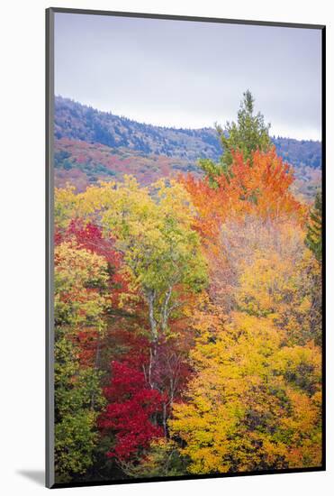 USA, Vermont, Fall foliage in Green Mountains at Bread Loaf, owned by Middlebury College.-Alison Jones-Mounted Photographic Print